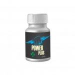 Power Plus